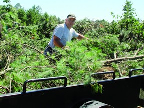 Black Bay Road resident Harlie Cochrane empties his third trailer full of brush, from a downed pine tree on his property, at the Back 40 near the Petawawa Civic Centre. It has been turned into a huge tree dump for people who suffered damage in Friday's severe storm.