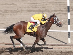 Omission hits the finish line to win the Triple K Oilfield Services Grande Prairie Derby Sunday.