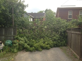There was plenty of clean up to be done around Kingston following Friday's series of thunderstorms.