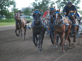 Melfort Exhibition chuckwagon races