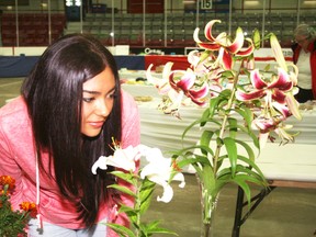Kenora Agricultural Fair volunteer Ivanna Strecker takes a break from selling tickets and judging baked goods to enjoy entries in the flowers category during the 101st annual fair competition. This year’s fair runs Aug. 1-3.
FILE PHOTO/Daily Miner and News