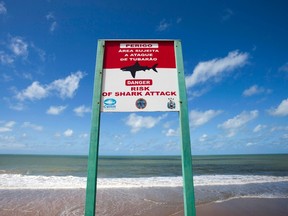 A sign warning of shark attacks is seen at Boa Viagem beach in Recife city June 11, 2013.  REUTERS/Helder Tavares, file