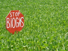 More and more hand-painted signs opposing the proposed biogas plant near Delhi have been cropping up in the countryside. (SARAH DOKTOR Delhi News-Record)