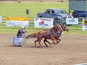 Racers pick up speed during the chariot races during the exhibition.