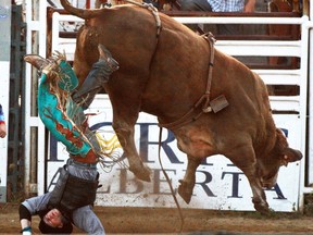 A cowboy gets bucked off a bull and lands on his head during last year’s Cochrane Bullriding Classic. This year’s edition goes this Saturday and sure to be another hit with the 30 top CPRA bullriders.