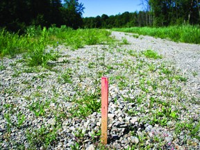 A stake marks the site of Prescott's north-end development, where Protocol Biomass is slated to be constructed(Recorder and Times file photo).