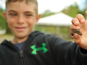 MARY KATHERINE KEOWN For The Sudbury Star
Simon Lafrieniere, 10, shows off a frog he caught at Camp Bitobig in the Lake Laurentian Conservation Area. The Nickel District Conservation Authority is currently working on trail improvements in the park.