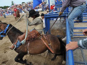 Andrew Sephton rides out of the gate on his horse during the second annual Spencerville Stampede on July 27, 2013. (THOMAS LEE/The Recorder and Times)