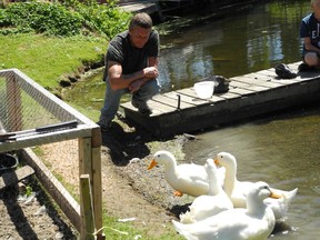 James Cook feeds his flock.
WAYNE LOWRIE Gananoque Reporter