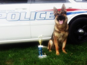 Woodstock's canine cop Jericho took third place at an international police canine competition in Cambridge earlier this month.  (Submitted photo)