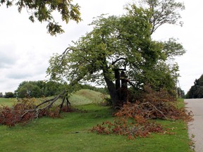 Less than two weeks after a powerful storm of wind and rain hit the north end of Paris and St. George particularly hard, there are still downed trees and curbside brush to be cleaned up such as this tree on Paris Links Road on Monday, July 29, 2013. The County of Brant continues to waive tipping fees at the Paris transfer station on Railway Street and Biggars Lane landfill south of Brantford. MICHAEL PEELING/The Paris Star/QMI Agency