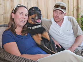 A Brantford couple, Melanie and Tim, are providing foster care for "Steve," an emaciated dog found Monday morning abandoned, muzzled and tied to a tree near the Grand River in Brantford. (Brian Thompson, The Expositor)