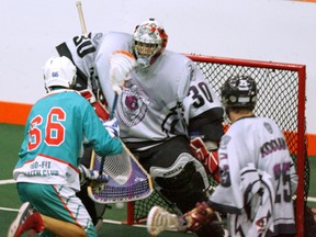 Alex Kedoh Hill of the Chiefs puts the ball between Kodiaks goalie Evan Kirk's legs on Tuesday during Game 1 of their best-of-seven Major Series Lacrosse semifinal series. (Darryl G. Smart, The Expositor)