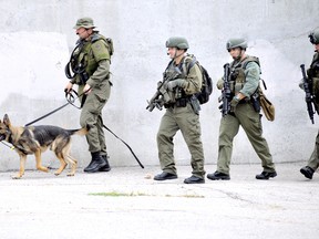 Members of the OPP canine and tactical response units that assisted the Chatham-Kent Police Service in trying to track down an armed robbery suspect in Chatham on Monday, July 29, 2013 were fulfilling the provincial police agency's mandate to provide support to municipal police services. (Diana Martin, The Daily News)