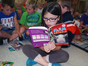 Alivia Lethbridge, 6, reads a book about farm animals at a summer literacy camp at June Rose Callwood Public School in St. Thomas on Thursday.