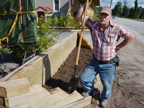 John Schnurr pauses while repairing flower beds the MTO started to remove outside Duffy's in Hepworth on Thursday. (Rob Gowan The Sun Times)