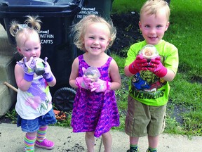 The Montemurro siblings show off the gladiolus bulbs they are about to plant in the Amazing Race: Knee High Edition. From left to right: Annabelle, 1, Cosette, 3 and Tristan, 3. Photo Supplied