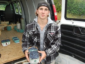 Jordyn Lacastro, who sells blueberries on the side of Highway 69 just north of the OPP detachment, said it would be unlikely for any incidents to happen along that busy stretch of road. (Jonathan Migneault/The Sudbury Star)