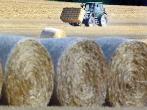 Straw bales both round and square dot the farmland south of the city this past weekend. (SCOTT WISHART The Beacon Herald)