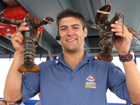 Guide Remi Gaudet of Shediac Bay Cruises holds up two lobsters after placing elastic bands over their claws to prevent them from fighting. DIANE SLAWYCH PHOTO