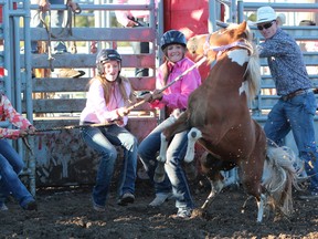 KASSIDY CHRISTENSEN NANTON NEWS/QMI AGENCY Reata Schlosser, Alisha Stevenson and Martyna Lively reign in this wild pony with all their might during the Nanton Nite Rodeo final wild pony race.