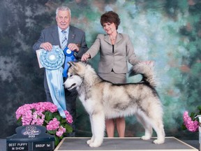 Nelly Bennett stands with her dog Maverick after winning best puppy in show at a Norfolk Kennel and Obedience Club competition. (Submitted photo)