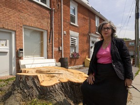 Ariel Salzmann stands in front of the stump of an old-growth silver maple tree, which she says was perfectly healthy before being removed.
Sam Koebrich for The Whig-Standard