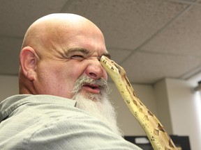 John Cameron, of BJ's Little Rodents and Reptiles in Sudbury, ON., interacts with a three-year-old Colombian Redtail Boa. JOHN LAPPA/THE SUDBURY STAR/QMI AGENCY