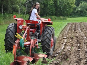 Mark Hoult The Intelligencer
Reigning Hastings County Queen of the Furrow Brianna Dracup practices her plowing technique Wednesday in preparation for the 25th annual Hastings County Farm Show and Plowing Match, Aug. 21 and 22 off Fairgrounds Road south of Stirling. Three contestants will compete to be crowned the 2013-2014 Queen of the Furrow.