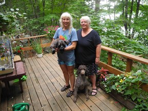 Barb O'Neill holds her three-legged dog Buddy as she stands with swimming partner Joan Yamamoto on her desk overlooking Gan Lake. O,Neill's dog Sheena sits by their feet.   WAYNE LOWRIE Gananoque Reporter