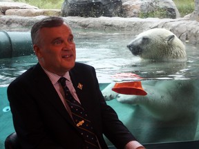 Ontario’s Lieutenant Governor, David Onley, was at the Cochrane Polar Bear Habitat on Friday as part of a short tour through Northern Ontario. Onley marveled at Ganuk, the playful 800-pound polar bear and star attraction of the habitat, calling him "magnificent and graceful," and encouraged conservation efforts for endangered bear populations.