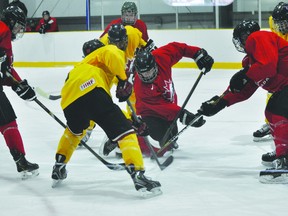 Brandon product and Portage Terriers draft pick Braden Compton searches for the puck on his knees during the Team West U17 camp Aug. 9. (Kevin Hirschfield/THE GRAPHIC/QMI AGENCY).