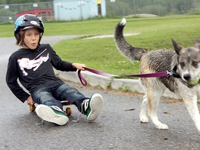 Ten-year-old Ryan Rocheleau said his friends were scared off by the wet, rainy weather, so he spent Friday afternoon hanging out with his enthusiastic canine pal Fessa instead. Here, six-year-old Fessa helps Rocheleau hitch a ride on his skateboard by Riverview Dog Park.