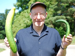 Nearly all the cucumbers in Eric Nylund’s garden in Townsend look like the one on the right. However, the same patch produced this freak on the left, one which measures an incredible 17 ¼ inches. (MONTE SONNENBERG Simcoe Reformer)