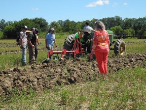 Judges watch as a competitor plows a straight furrow in competition at Saturday's annual county plowing match