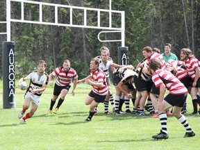 Following a goal-line stand, Banff's Simon MacDonald takes the ball out of the scrum and scampers upfield against the Calgary Saints on Saturday, Aug. 10, 2013. Banff won the Calgary Rugby Union Div 2 clash at the Banff Rec Grounds 50-7. Russ Ullyot/ Crag & Canyon/ QMI Agency