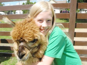 Olivia Green, 10, of Port Dover stands with Rosie the alpaca during the 4-H Canada's 100 year celebration hosted by the Norfolk 4-H club at Sonny's Llama Farm west of Delhi on Saturday. (SARAH DOKTOR Simcoe Reformer)