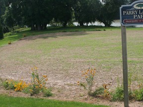 The tallgrass prairie garden has been destroyed at Parry Landing Park.