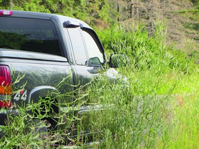 Weeds encroaching on the side of the road have met their match in the rural roadside vegetation control program. Photo Courtesy Dave LeClaire