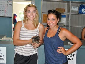 Ryley and Wacey Rizzoli will be taking home Sapphire, a young kitten that was found by the railway tracks.