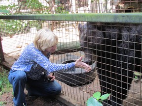 Helen Marshall feeds Ben, a 30-year-old bear at the Spruce Haven Zoo.
