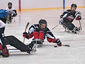 The Brant County Crushers stage a split-squad demonstration sledge hockey game on Wednesday  at the second annual Hockey Night in Brantford. (Brian Thompson, The Expositor)