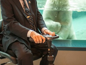 Ganuk had no problem supplying entertainment for Ontario's Lieutenant Governor, David C. Onley during his visit at the Polar Bear Habitat. Photo credit: Créations DIGI par Lori - www.facebook.com/loridigi