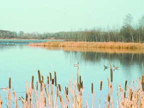 Hastings Lake has been put under a blue-green algae advisory by Alberta Health Services. File Photo