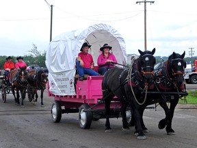 Elizabeth McSheffrey Peace Country Sun
Beaverlodge couple Jim and Carrie Hogg lead the way in their rose-coloured wagon as the Wild Pink Yonder riders trot into Wembley last Sunday. The 23-day, 22-town trail ride-fundraiser rakes in cash for the Alberta Cancer Foundation and has raised nearly $500,000 over five years.