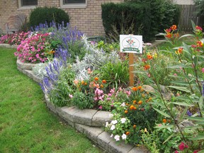 Using an artist’s colour wheel can help gardeners see how colours are related. (QMI Agency File Photo)
