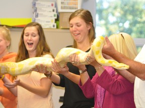 Leaders Sami Clark (left) and Karen Louwagie of the West Perth Public Library TD Summer Reading Program react as Paul Kennedy gives them and other adult “volunteers” a chance to hold this albino Burmese python during The Travelling Reptile Show held last Wednesday, Aug. 14 at the library. Also visible holding the head is Brian Mills (right).
