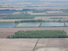 Pictured are the current lagoons on Mollard Line, part of the Grand Bend Sewage Treatment Facility that Lambton Shores and South Huron are hoping to expand and upgrade. The project took another step this week as a scope change was approved through the Building Canada Fund. LYNDA HILLMAN-RAPLEY/ QMI AGENCY