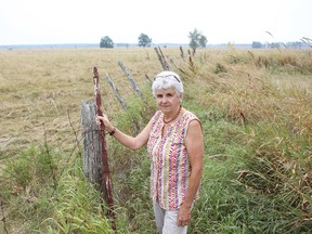 The concept of unwilling host could be useful for communities opposed to wind energy projects, but first it has to be formally defined, says Amherst Island resident and wind turbine opponent Michele Le Lay.
Elliot Ferguson The Whig-Standard