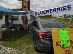 LAURA STRICKER The Sudbury Star
Brandon Leblond stands at his family's blueberry stall off Highway 69, across from Mine Mill campground, on Friday. The family was recently forced to switch locations, after 10 years in the same spot, due to a zoning issue.